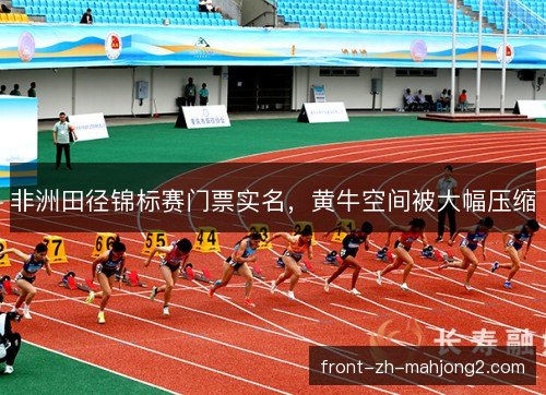 非洲田径锦标赛门票实名，黄牛空间被大幅压缩