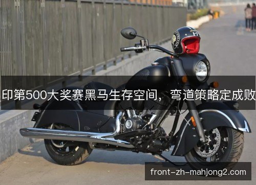 印第500大奖赛黑马生存空间,弯道策略定成败 印第500大奖赛黑马生存空间,弯道策略定成败